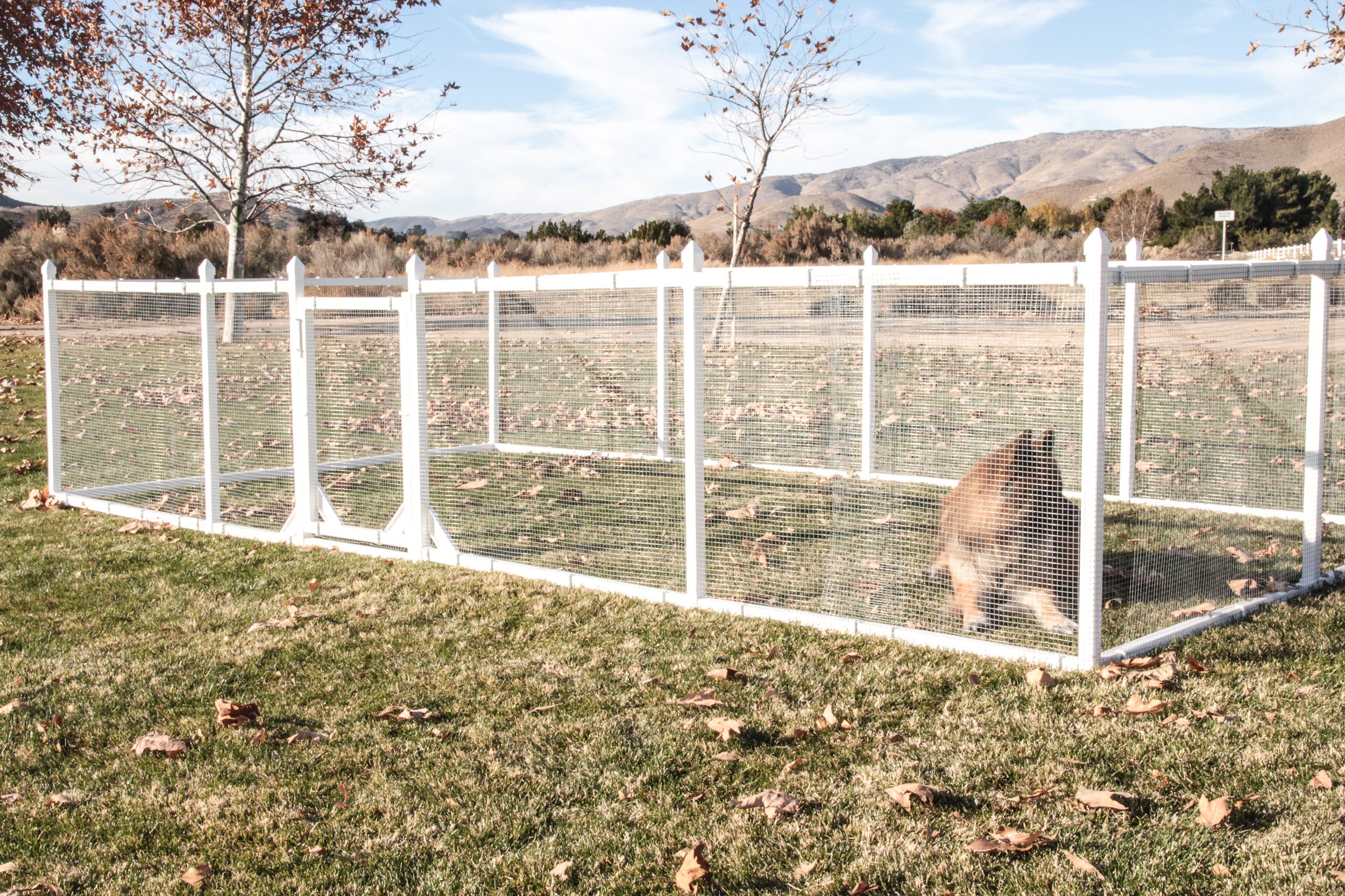 DIY Dog Fence / No Dig Dog Fence – SnapFence® - Dog Fencing System Without Wire