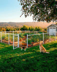 SnapFence® In-Ground Q.U.I.C.K.™ Fence Kit with Gate