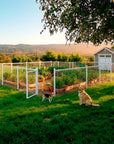 SnapFence® In-Ground Q.U.I.C.K.™ Fence Kit with Gate