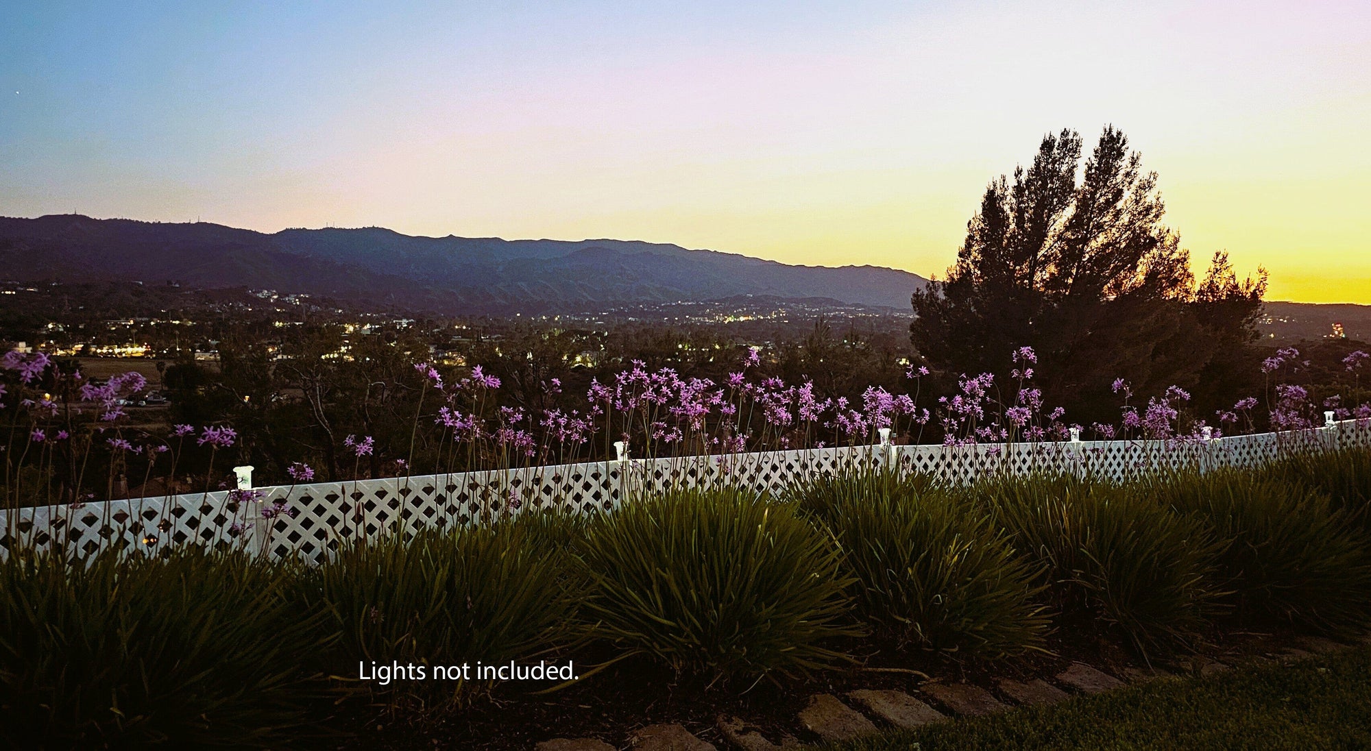 Garden Border Fence