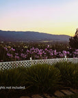 Garden Border Fence