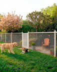 SnapFence® In-Ground Q.U.I.C.K.™ Fence Kit with Gate
