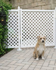 SnapFence® Surface-Mount Q.U.I.C.K.™ Fence Kit with Gate