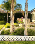 Landscape Edging