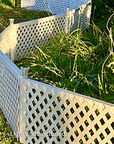 Garden Border Fence