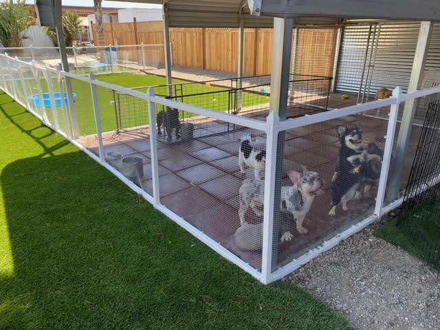 Secure Dog Run Examples DIY Dog Run and Pet Enclosures - its a snap! – SnapFence®