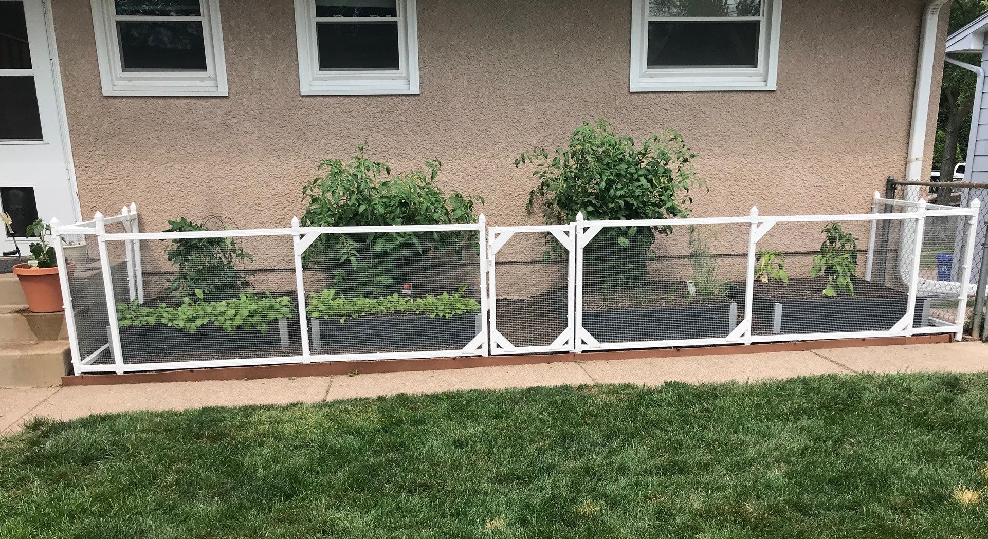 DIY Garden Enclosure - with SnapFence Rabbit Proof Fencing