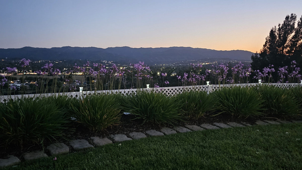 SnapFence white lattice Garden Border Fence along a lawn edge with hills at sunset