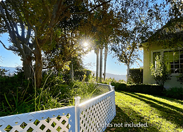 Garden Border Fence